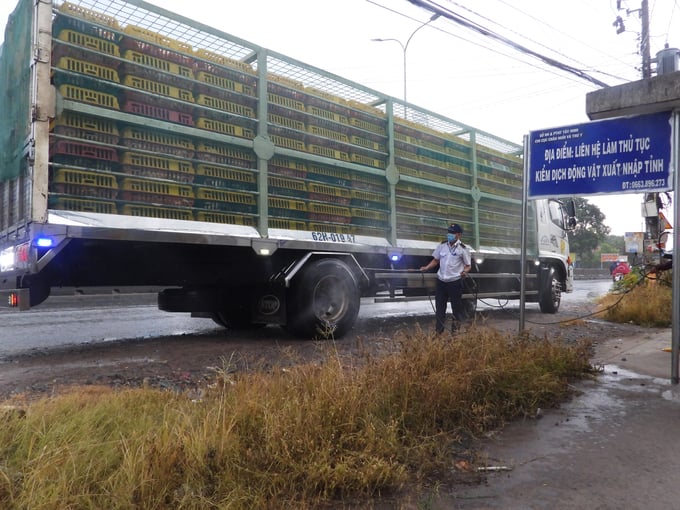 Nâng cao Công tác Kiểm dịch Động vật tại Đà Nẵng Để Bảo Vệ Sức Khỏe Cộng Đồng